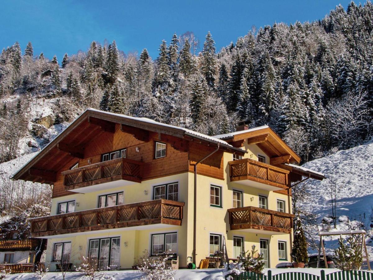 Modern Apartment In Gro Arl Salzburg With Sauna Apartment